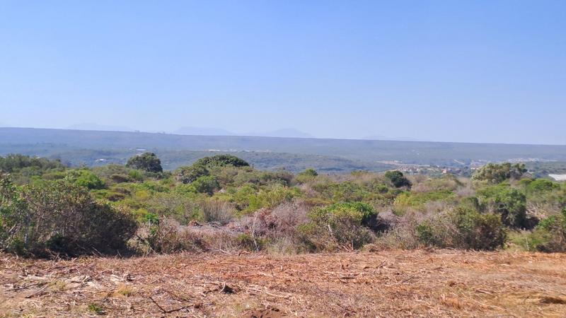 0 Bedroom Property for Sale in Stilbaai Wes Western Cape